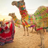 The Absolute Royal Rajasthan Tour